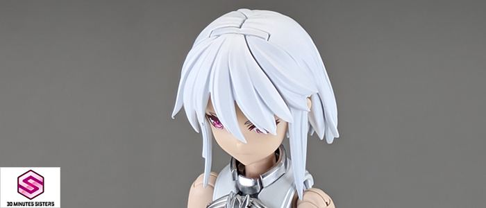人気特価をすべて 30MS 完成品] SIS-D00 (旧 テキトーオヤジノ墓 | NEVERLIA キャラクター