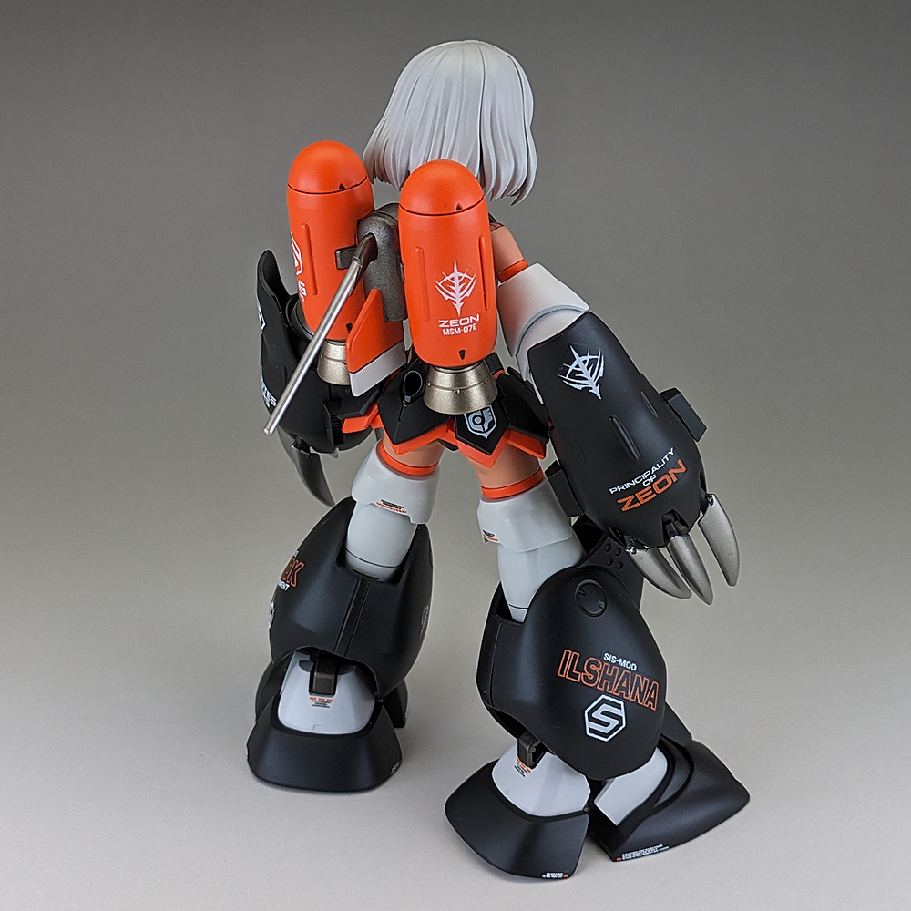 完成品] HGUC MSM-07E Z'GOK EXPERIMENT + SIS-M00 ILSHANA(30MS